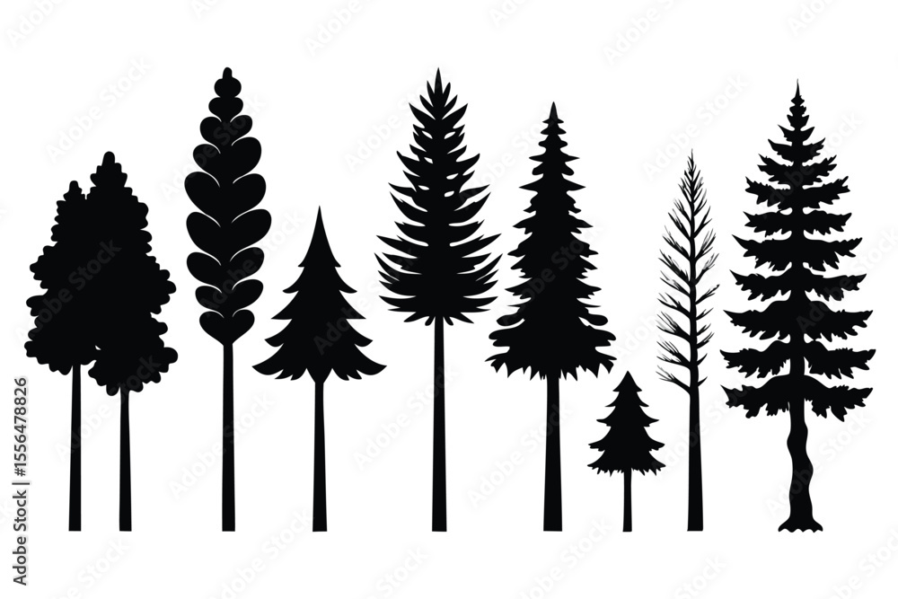 Obraz premium Silhouettes of evergreen trees in a forest setting 