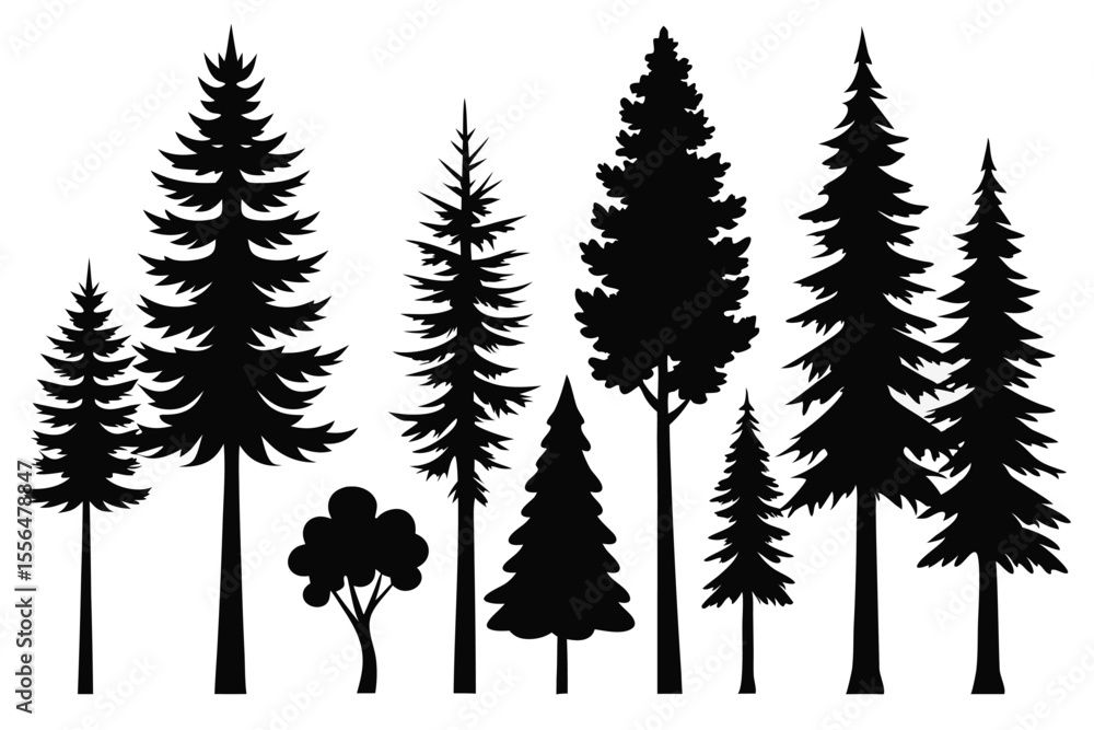 Obraz premium Silhouettes of evergreen trees in a forest setting 