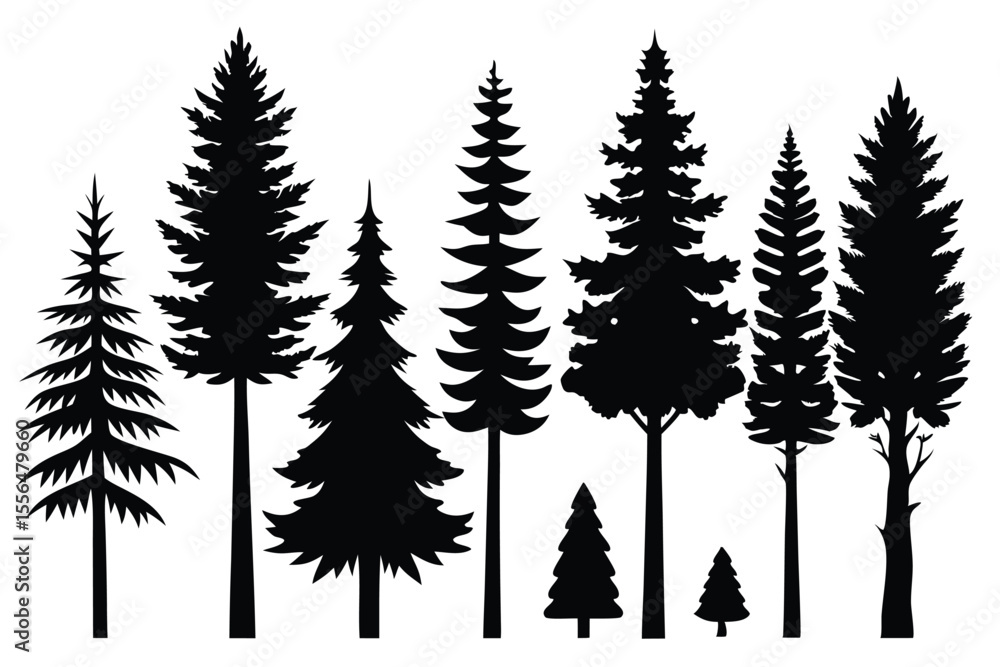 Fototapeta premium Silhouettes of evergreen trees in a forest setting 