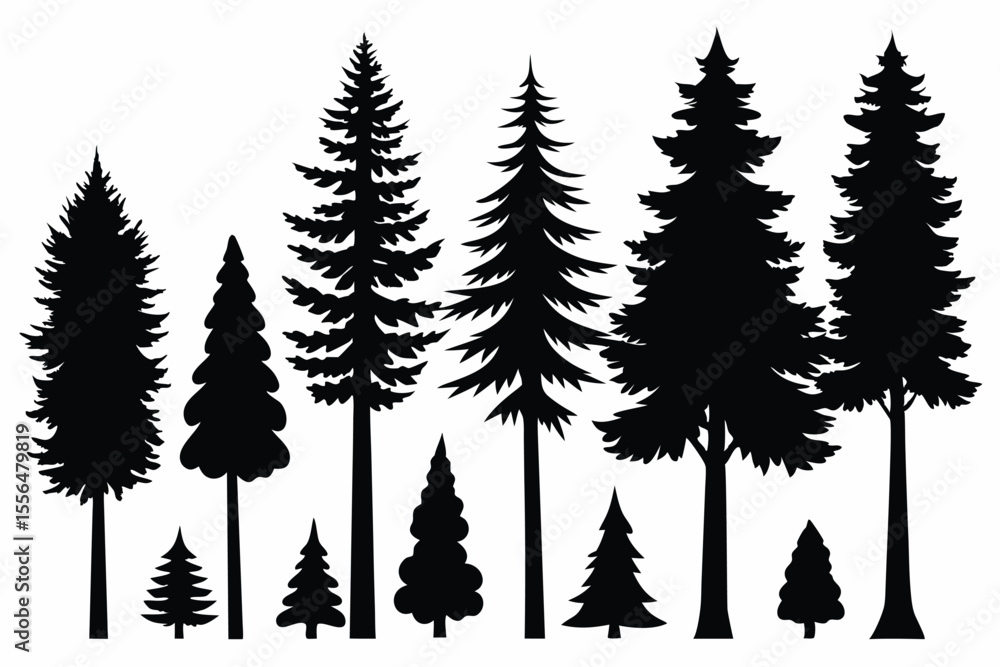 Obraz premium Silhouettes of evergreen trees in a forest setting 