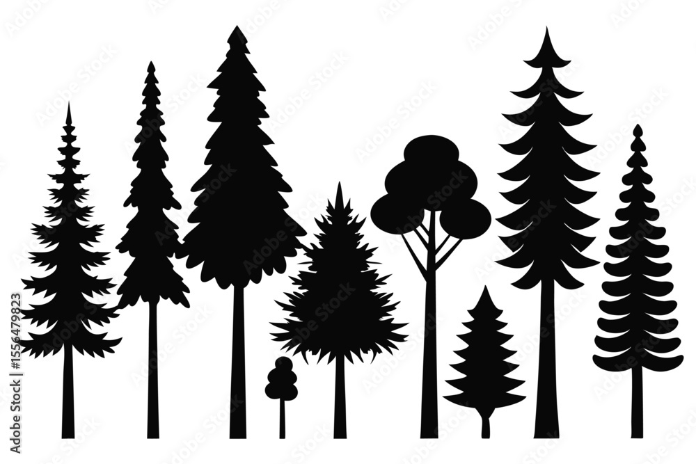Fototapeta premium Silhouettes of evergreen trees in a forest setting 