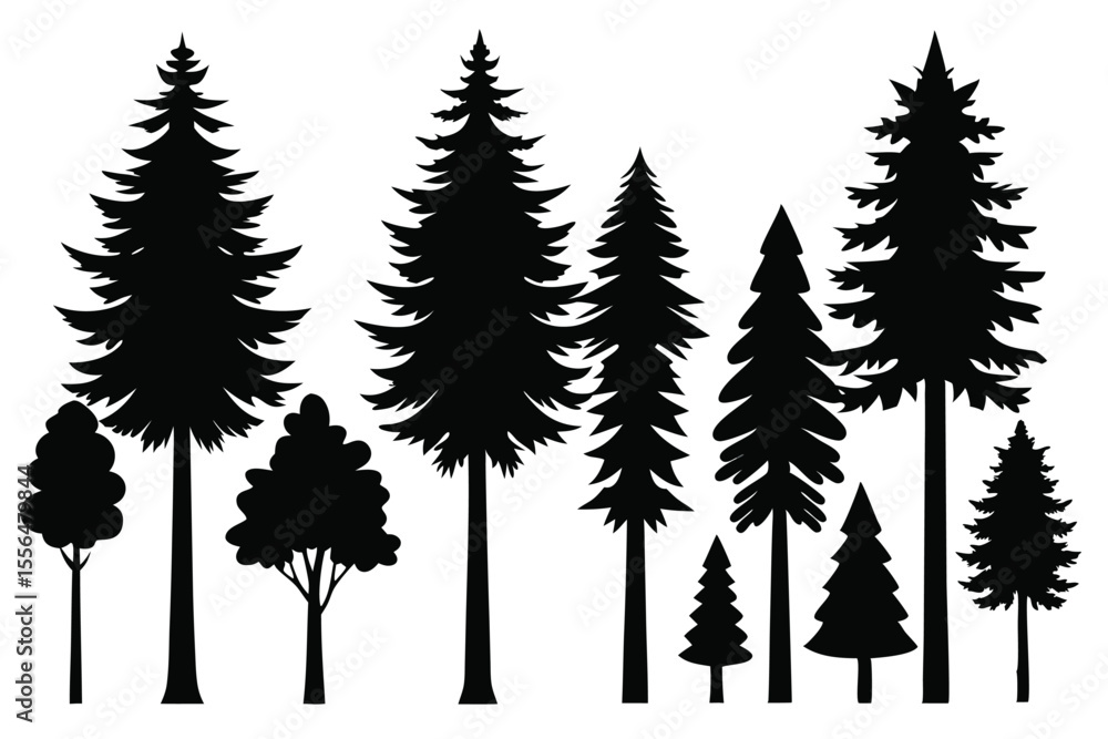 Obraz premium Silhouettes of evergreen trees in a forest setting 