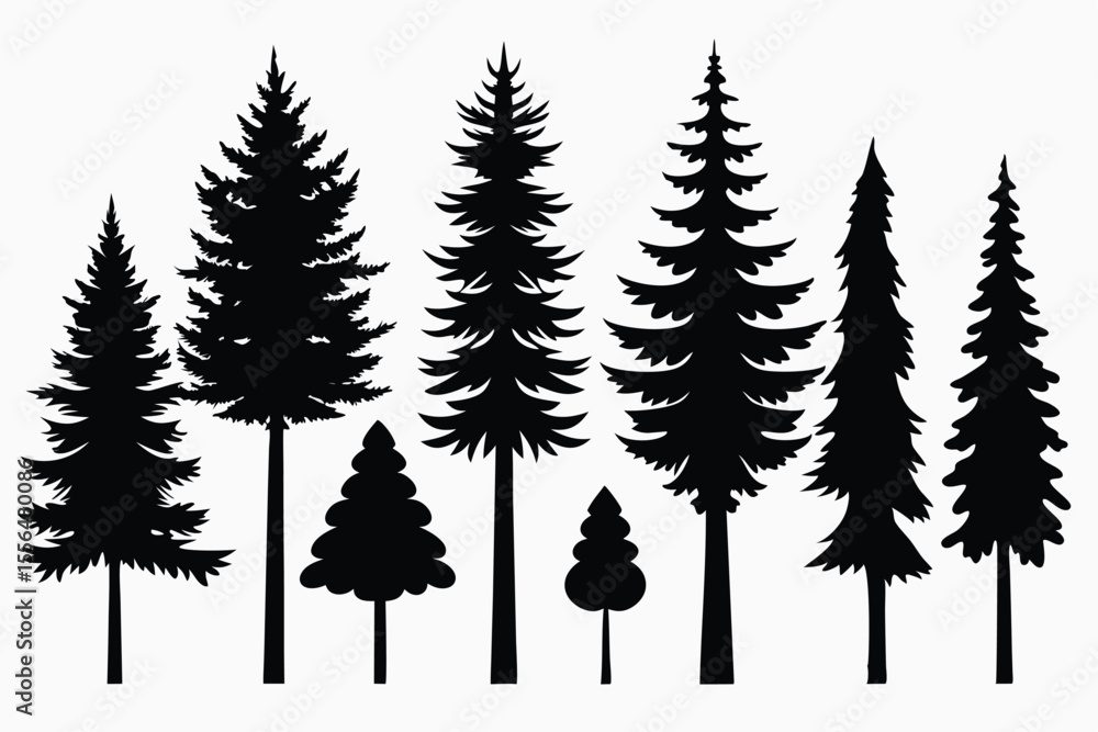 Obraz premium Silhouettes of evergreen trees in a forest setting 