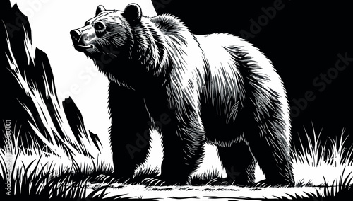 Silhouette of a wild black bear, an isolated vector illustration of this predator