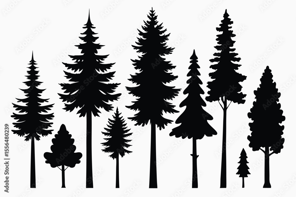 Obraz premium Silhouettes of evergreen trees in a forest setting 