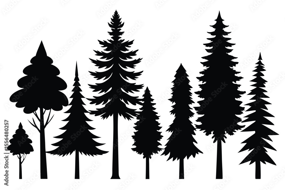 Obraz premium Silhouettes of evergreen trees in a forest setting 