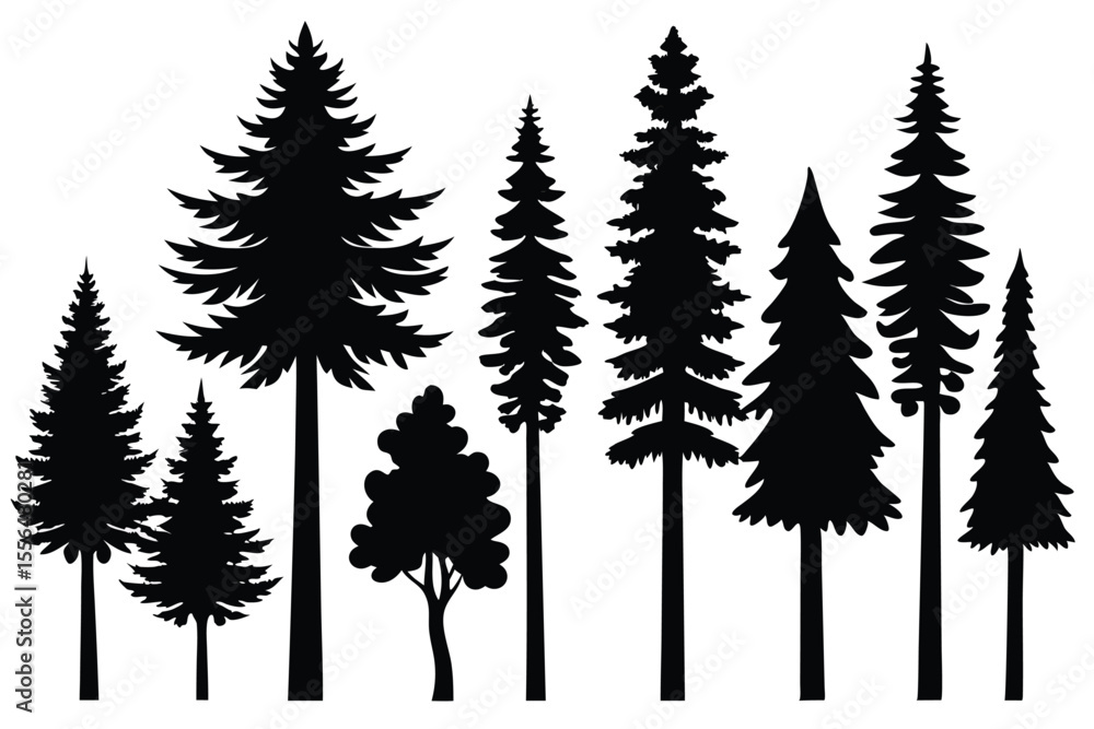 Obraz premium Silhouettes of evergreen trees in a forest setting 
