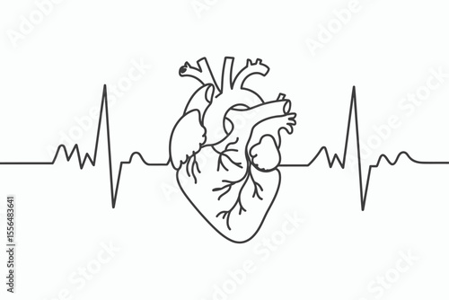 Stylized anatomical heart with a continuous electrocardiogram line on a white background