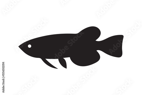 Arowan Tetra fish silhouette