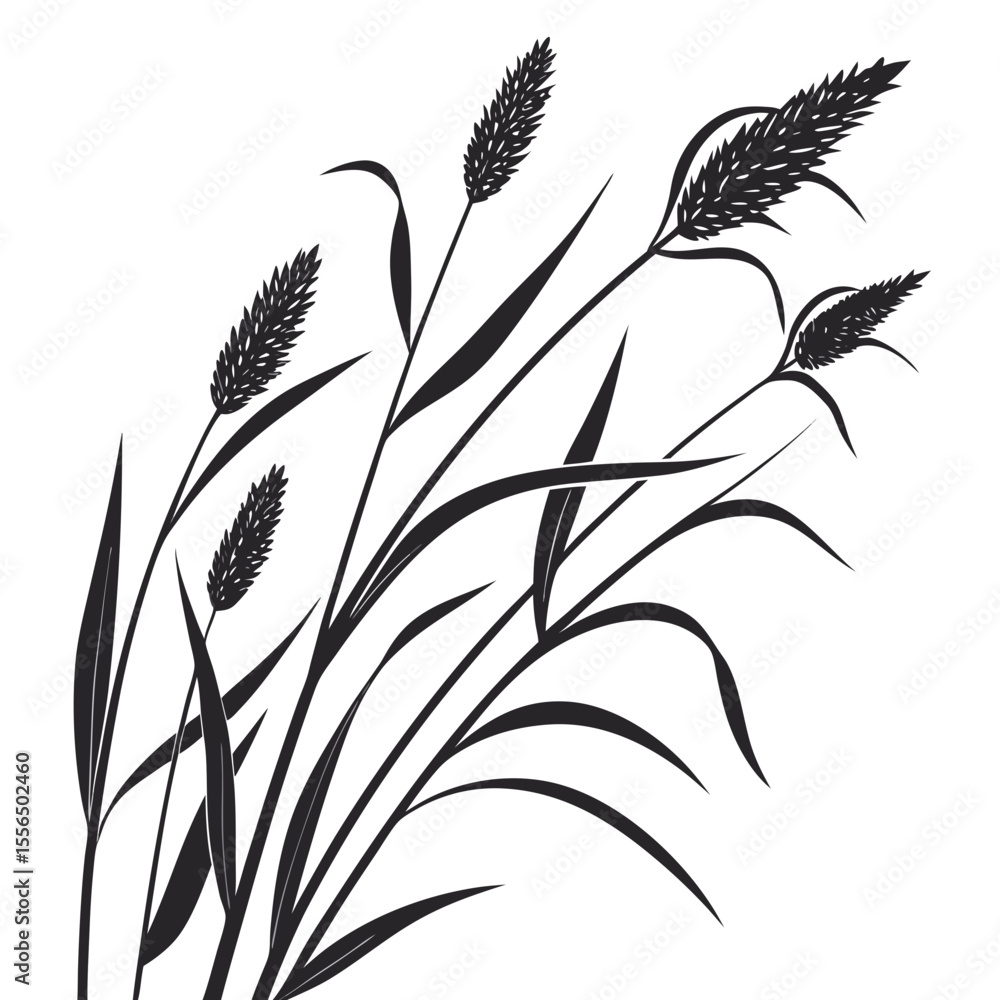 vector grass silhouette vector grass silhouette