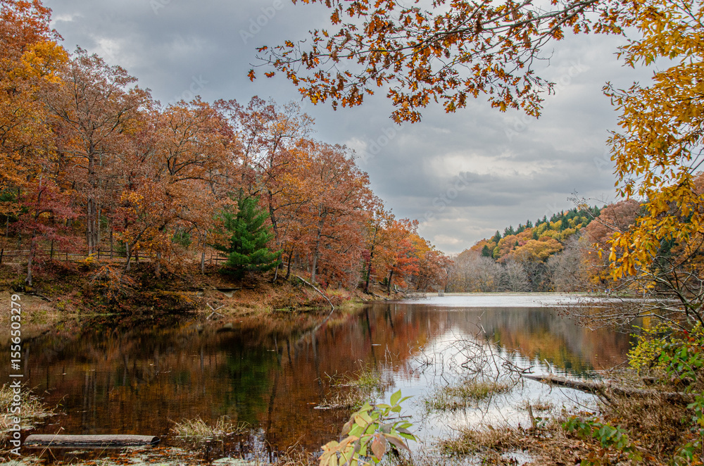 Fototapeta premium Fall/Autumn Landscapes, Trees and scenes