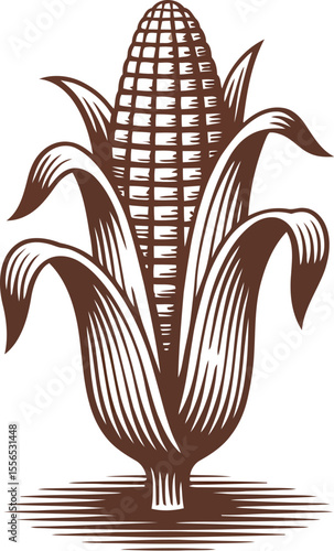 Illustration of an ear of corn with husk and kernels in brown on a light beige background center aligned