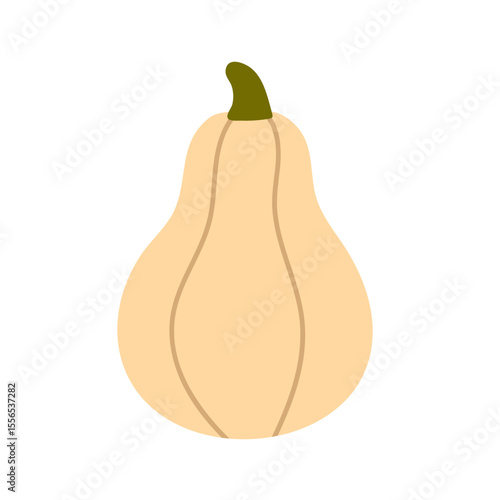 Light-colored squash with rounded body and short stem, ideal for harvest season design and food-themed illustrations