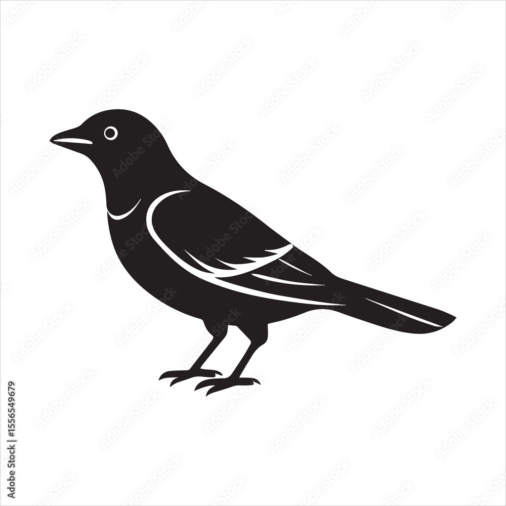 Obraz premium common blackbird vector illustration