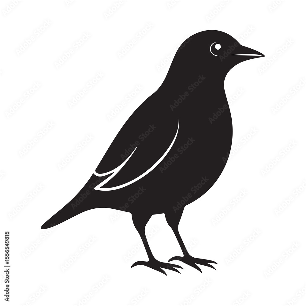 Obraz premium common blackbird vector illustration