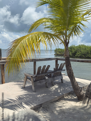 Relax by the Water under the Palm Trees