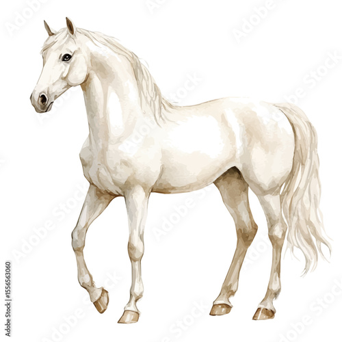 Unicorn, watercolor painting vector, isolated on a white background.