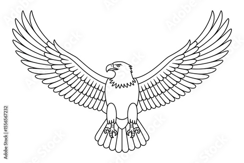 Eagle in flight, symbol of freedom and strength.
