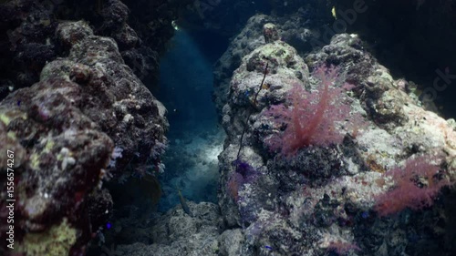 Wallpaper Mural Exploring Underwater Caves following a diver in Scuba Diving in Egypt Torontodigital.ca