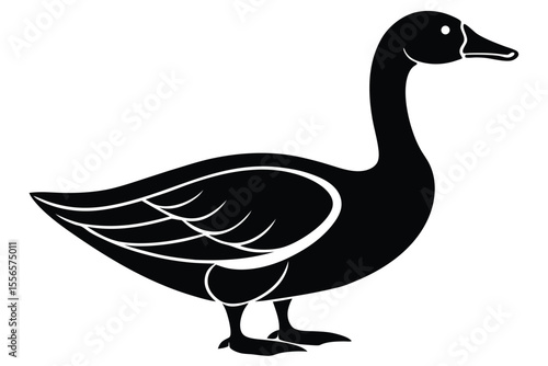 goose isolated on white background