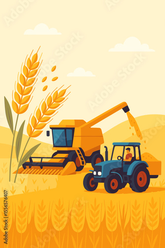 Modern flat vector illustration of wheat harvest with combine harvester and tractor in field, golden grain ears, ripe barley or rye, agricultural machinery, farming process, rural landscape background