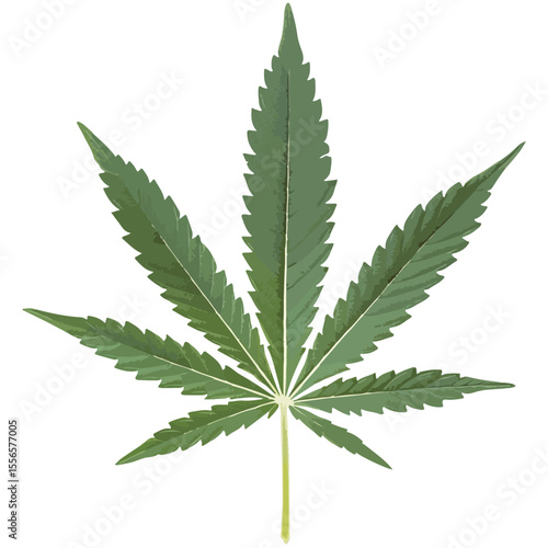 Weed Marijuana cannabis leaf vector icon logo illustration