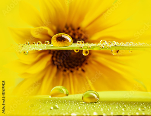 flower and drops