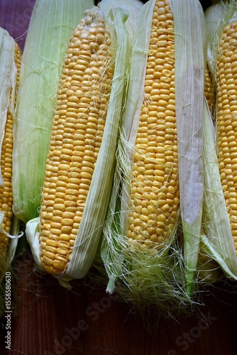 A pile of fresh organic corn. Fresh harvest. View from the top.