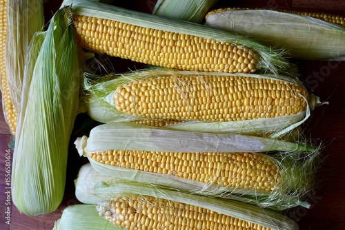 A pile of fresh organic corn. Fresh harvest. View from the top.