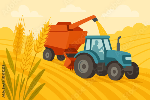 Combine harvester tractor working on a golden wheat field. Agricultural machinery harvesting ripe crops. Rural landscape in autumn harvest season. Modern flat vector cartoon illustration.