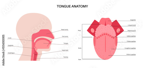 Human tongue poster