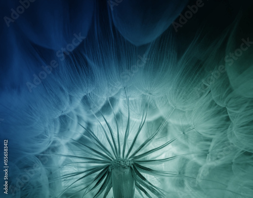 plant abstraction