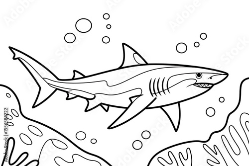 Shark swimming in the ocean.
