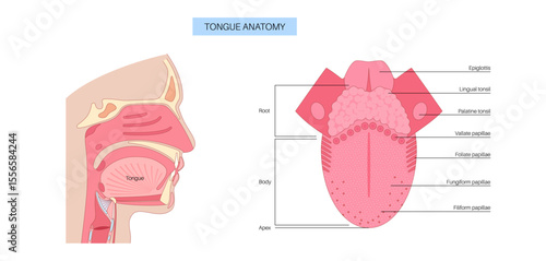 Human tongue poster