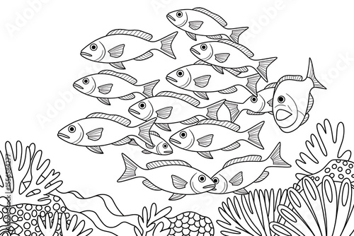 School of fish swimming near coral reef.
