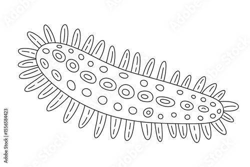 Strange, elongated creature with spiky protrusions and circular patterns.
