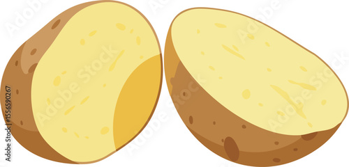 Potato vegetable fresh cut half natural healthy food ingredient nutritious organic cooking produce vector illustration
