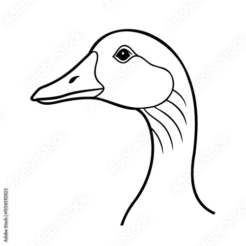 vector illustration of a goose