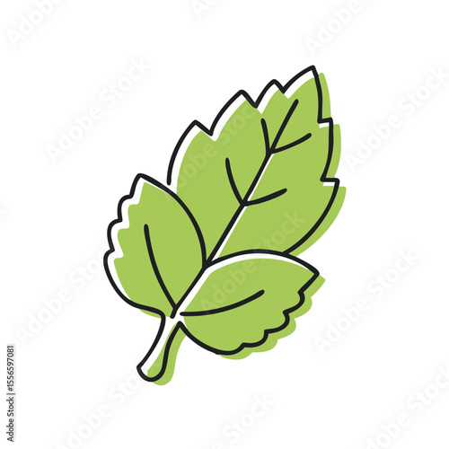 Lemon balm leaf icon in vibrant hand drawn style for herbal illustrations and natural products