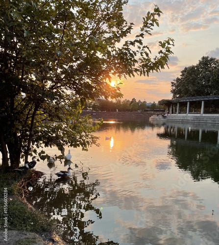 Sunset Glow Through Trees by Mueller Lake Park in Austin
