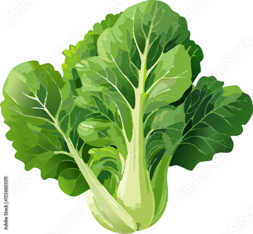 Fresh, vibrant bok choy, a staple in healthy cuisine. This image showcases a close-up of the fresh green leafy vegetable, highlighting its crisp textures.