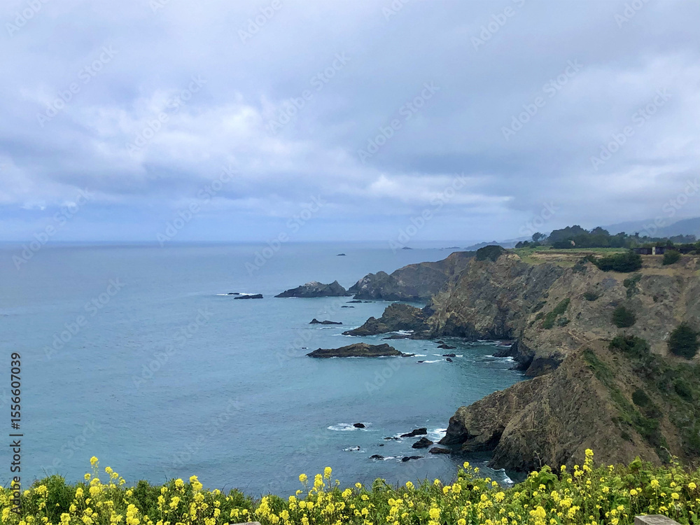 Naklejka premium Coastal Cliffs and Wildflowers