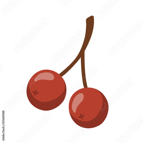 Cartoon style illustration of two red berries on a branch, resembling rowan or viburnum. Cartoon vector illustration