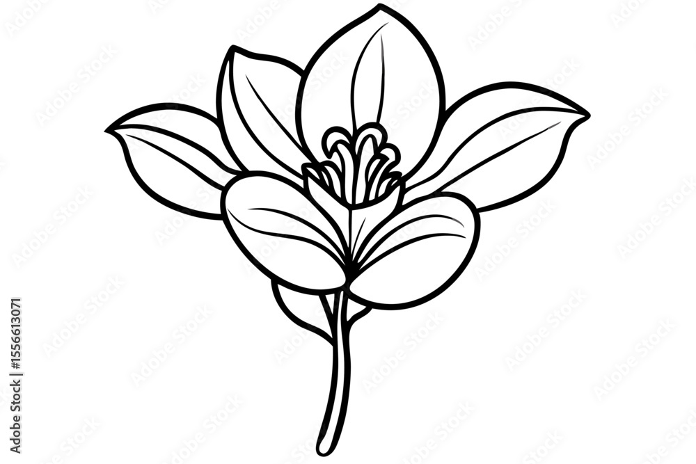 Obraz premium A beautiful vector illustration of a lily of the valley flower with delicate petals and green leaf perfect for spring and summer floral design and decoration