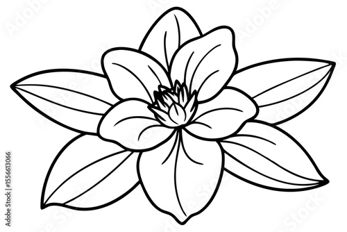 Beautiful floral vector illustration of a lily flower with delicate petals and leaves, perfect for spring nature designs