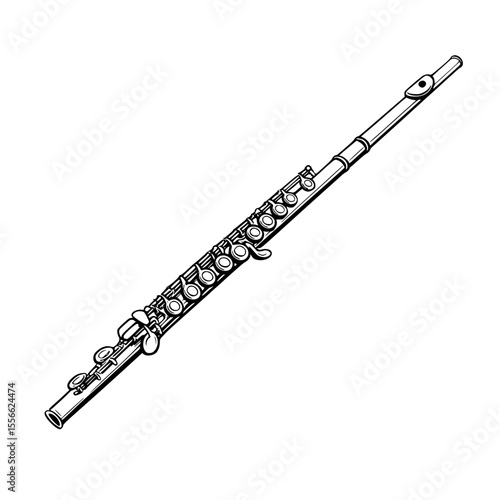 flute, western concert flute, woodwind instrument, orchestra, flutist, flautist, silver, illustration, vector, customizable