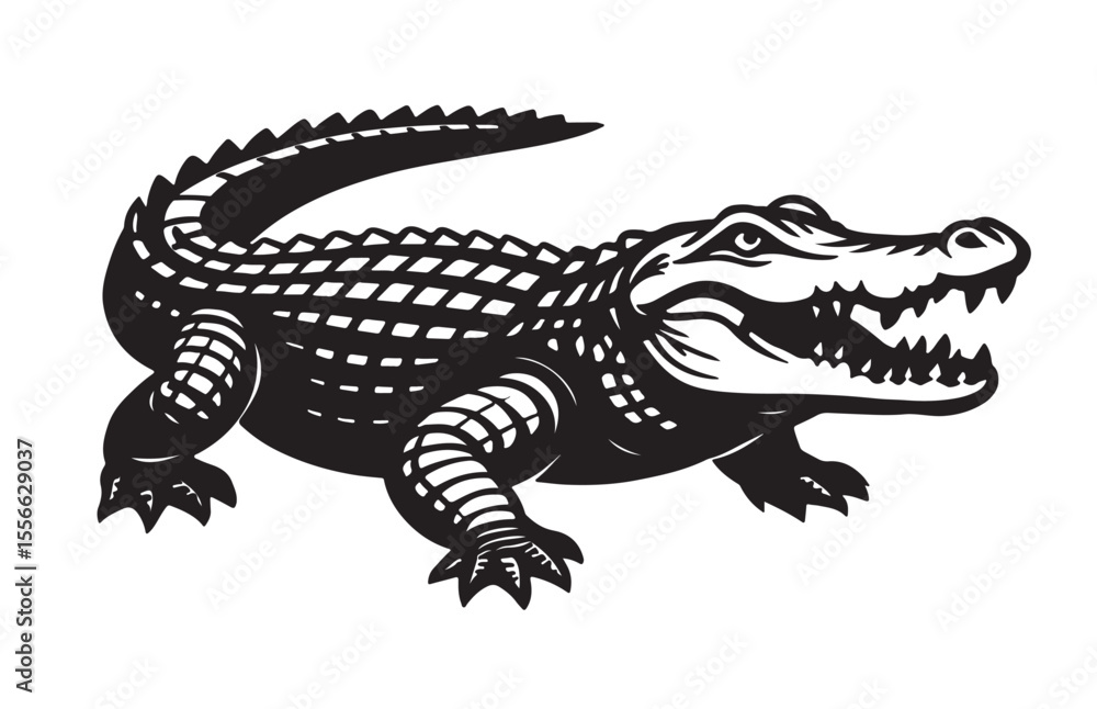 Fototapeta premium crocodile isolated on white background