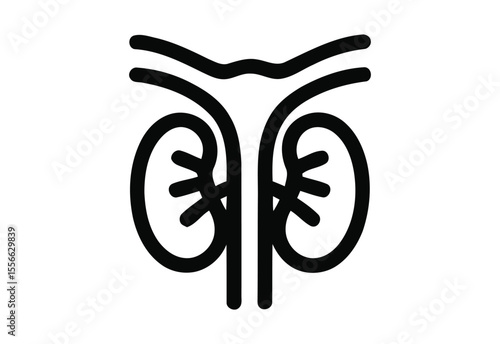 Stylized black and white illustration of human kidneys and adrenal glands