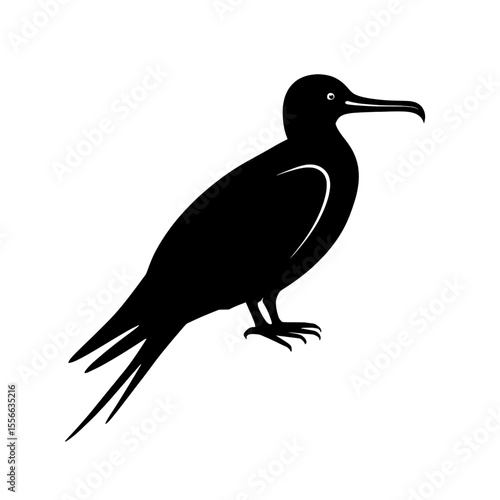 Elegant Silhouette of a Frigatebird with Streamlined Wings and Long Beak