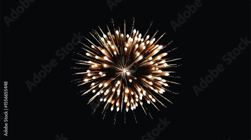 Fourth of July American Independence Fireworks Celebration